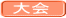 大会